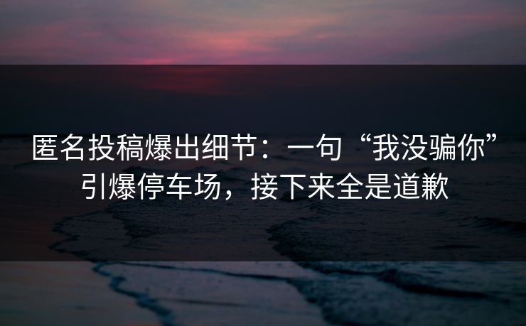 匿名投稿爆出细节：一句“我没骗你”引爆停车场，接下来全是道歉