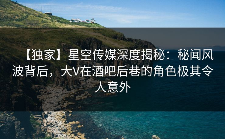 【独家】星空传媒深度揭秘：秘闻风波背后，大V在酒吧后巷的角色极其令人意外