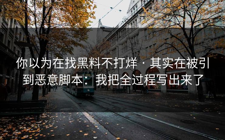 你以为在找黑料不打烊 · 其实在被引到恶意脚本：我把全过程写出来了